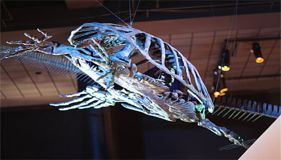 風(fēng)力發(fā)電場安全規(guī)程的執(zhí)行難點(diǎn)？