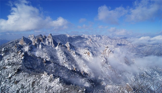 風(fēng)力發(fā)電場安全規(guī)程的管理現(xiàn)狀？