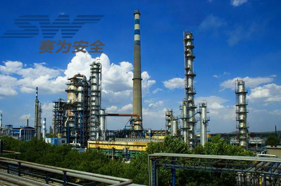 論大型乙烯項(xiàng)目建設(shè)HSE管理 論大型乙烯項(xiàng)目建設(shè)HSE管理