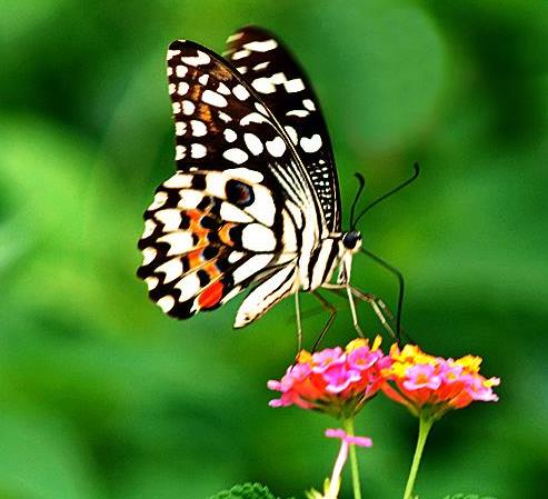 實踐HSE管理要 “危言聳聽”