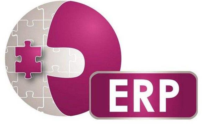 論用ERP促進HSE管理 論用ERP促進HSE管理