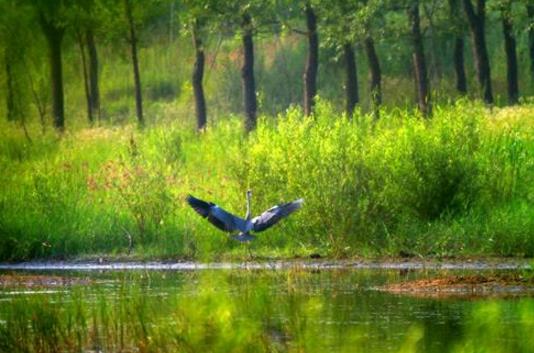 環(huán)境影響評價在HSE管理體系中的應用 環(huán)境影響評價在HSE管理體系中的應用