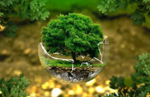 談如何做好企業(yè)的環(huán)保管理 談如何做好企業(yè)的環(huán)保管理
