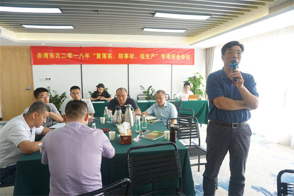 赤灣東方董事長秦總做總結(jié)性發(fā)言 赤灣東方董事長秦總做總結(jié)性發(fā)言