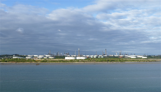 賽為安全 (107).jpg 賽為安全 (107).jpg